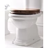 Kép 3/6 - RETRO Soft Close WC-ülőke, dió/bronz