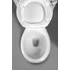 Kép 6/6 - AQUALINE ANTIK monoblokkos WC, hátsó kifolyású, WC-ülőkével, öblítőmechanikával, kerámia fogantyúval