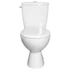 Kép 3/3 - AQUALINE MIGUEL monoblokkos WC, alsó kifolyású, króm duál gombos öblítőmechanika